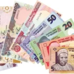 Naira-notes-1-1-1024x609